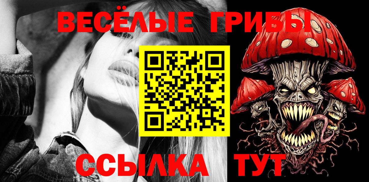 Галлюциногенные грибы Cubensis  Вход с VPN  Красногорск 
